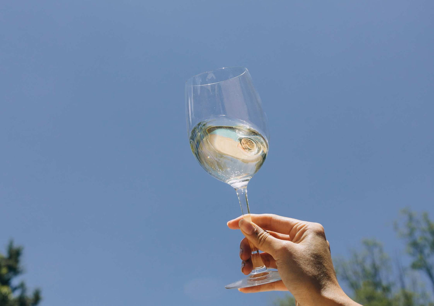 Comment reconnaître un bon vin sans alcool (et éviter les déceptions) ?