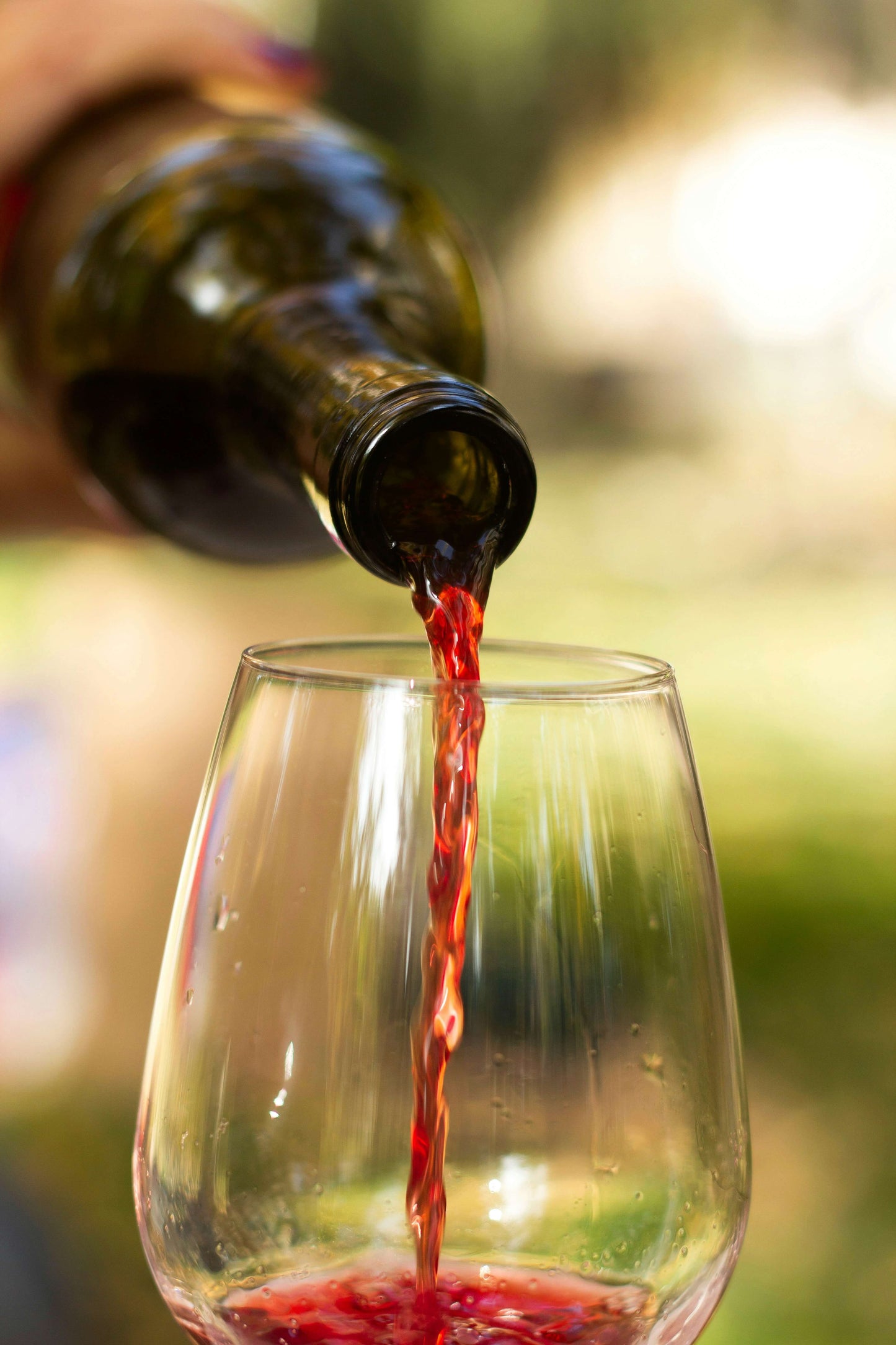 Quel est le meilleur vin rouge sans alcool ?