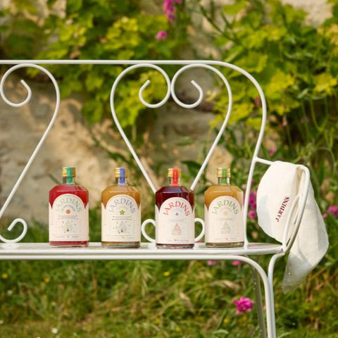 Boissons sans alcool : comment le végétal inspire les nouvelles expériences de dégustation