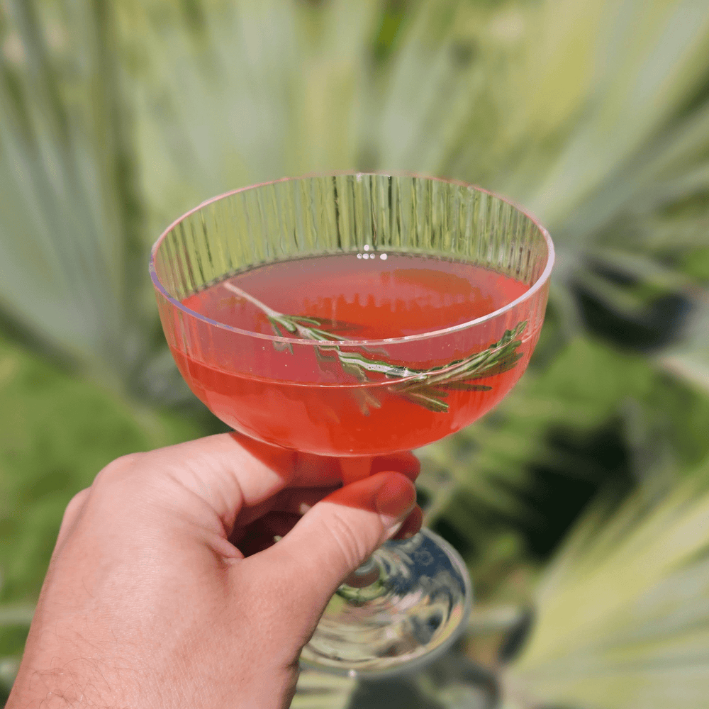 JARDINS SPRITZ, Amer & Fruité - Jardins
