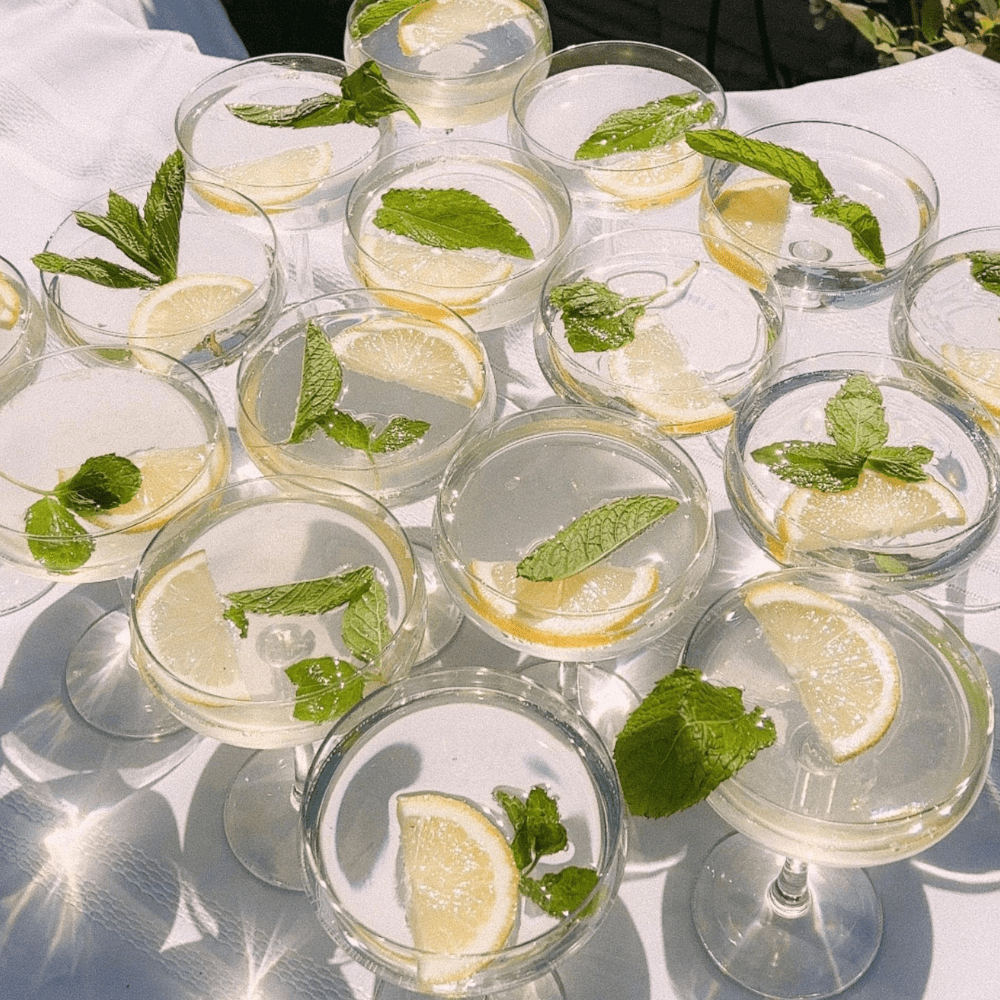 Mojito sans alcool : Vif & Herbacé - Jardins