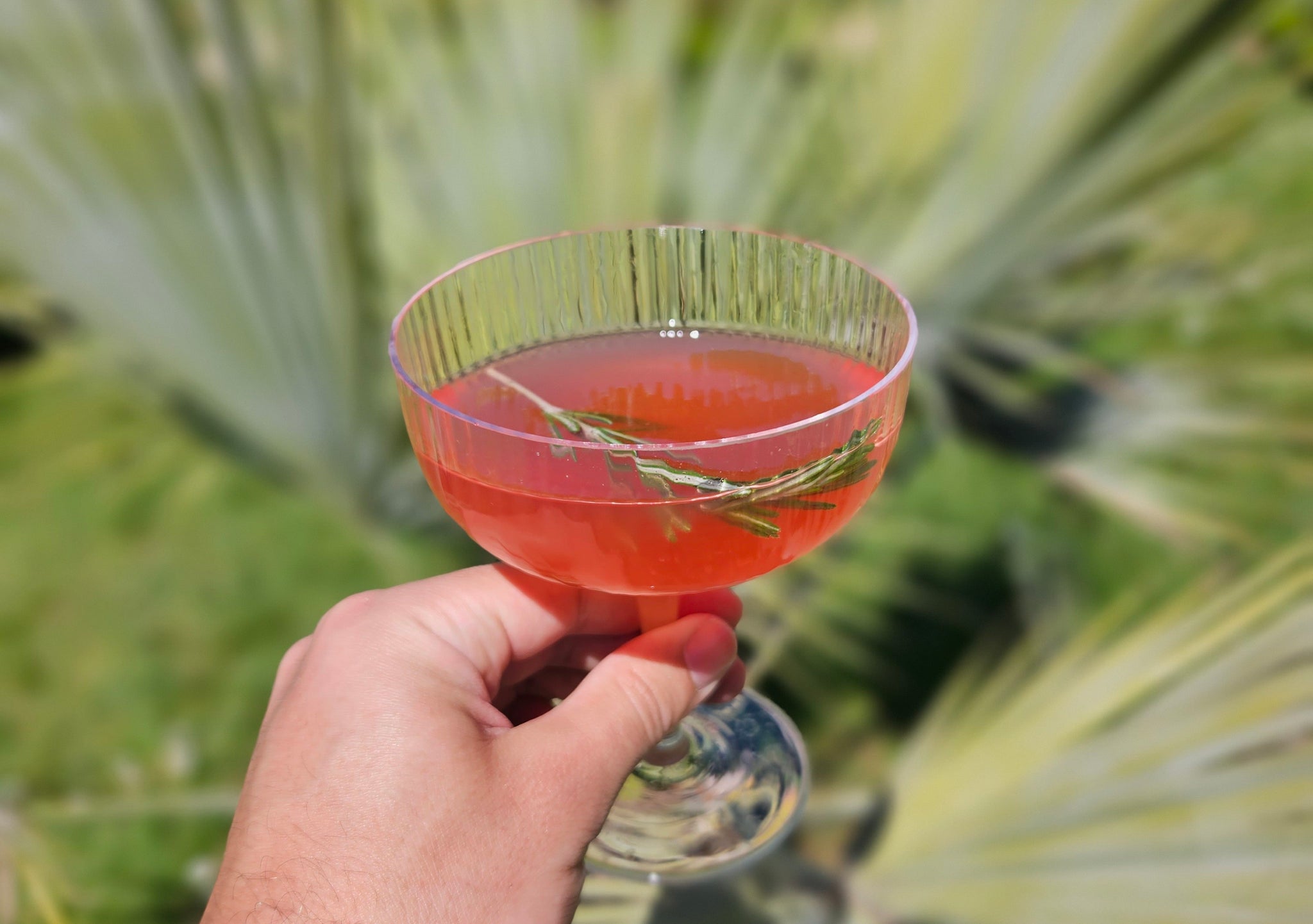Apéritif sans alcool bio pour cocktails sans alcool – Jardins